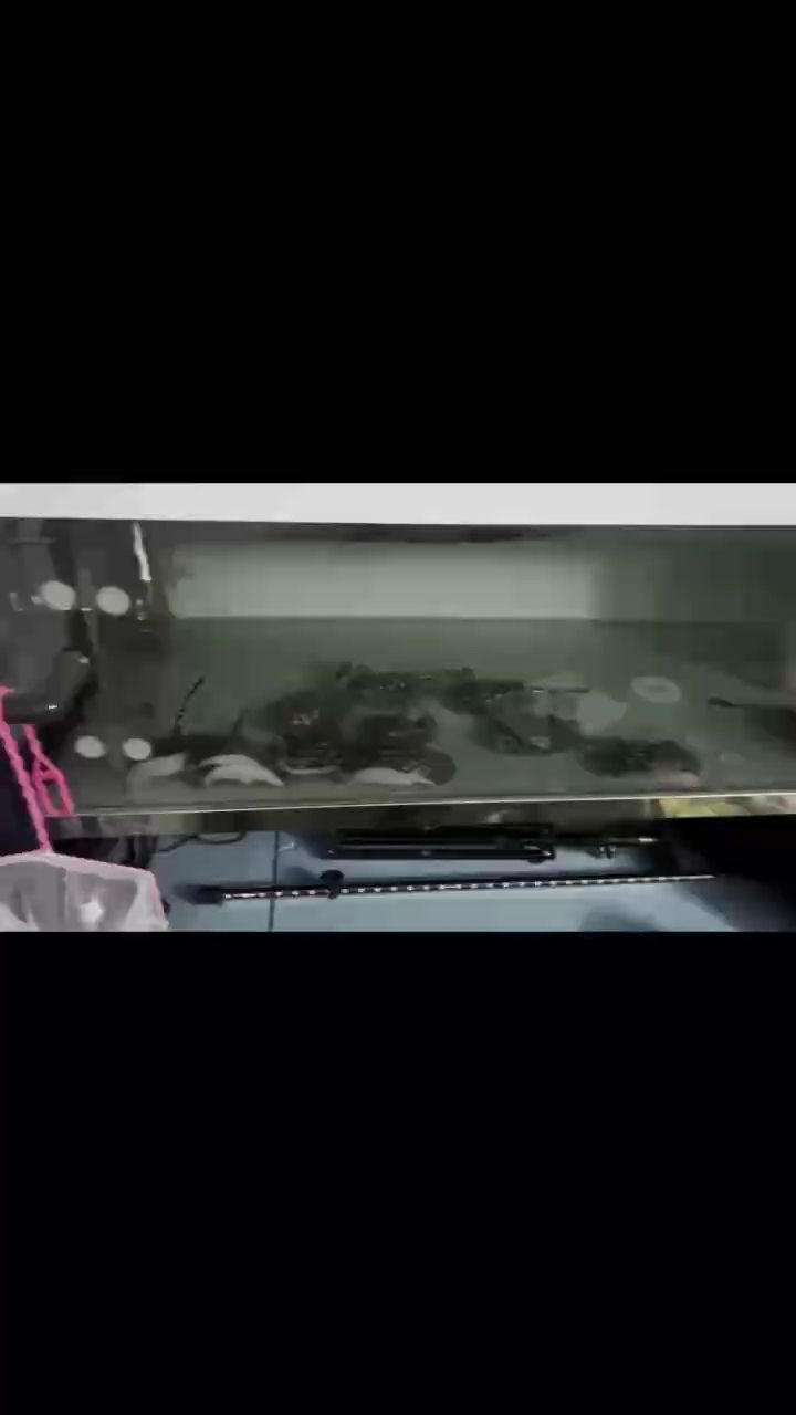 追求狀態的完美