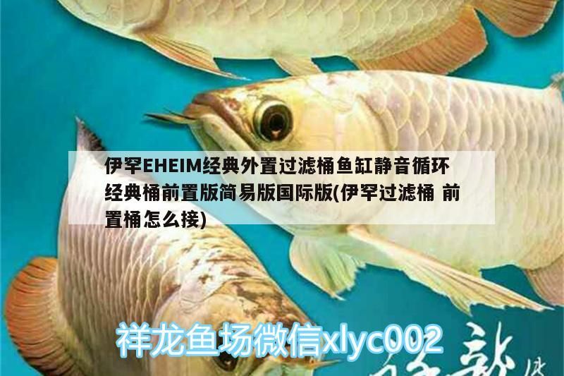 伊罕EHEIM經(jīng)典外置過濾桶魚缸靜音循環(huán)經(jīng)典桶前置版簡(jiǎn)易版國(guó)際版(伊罕過濾桶前置桶怎么接)