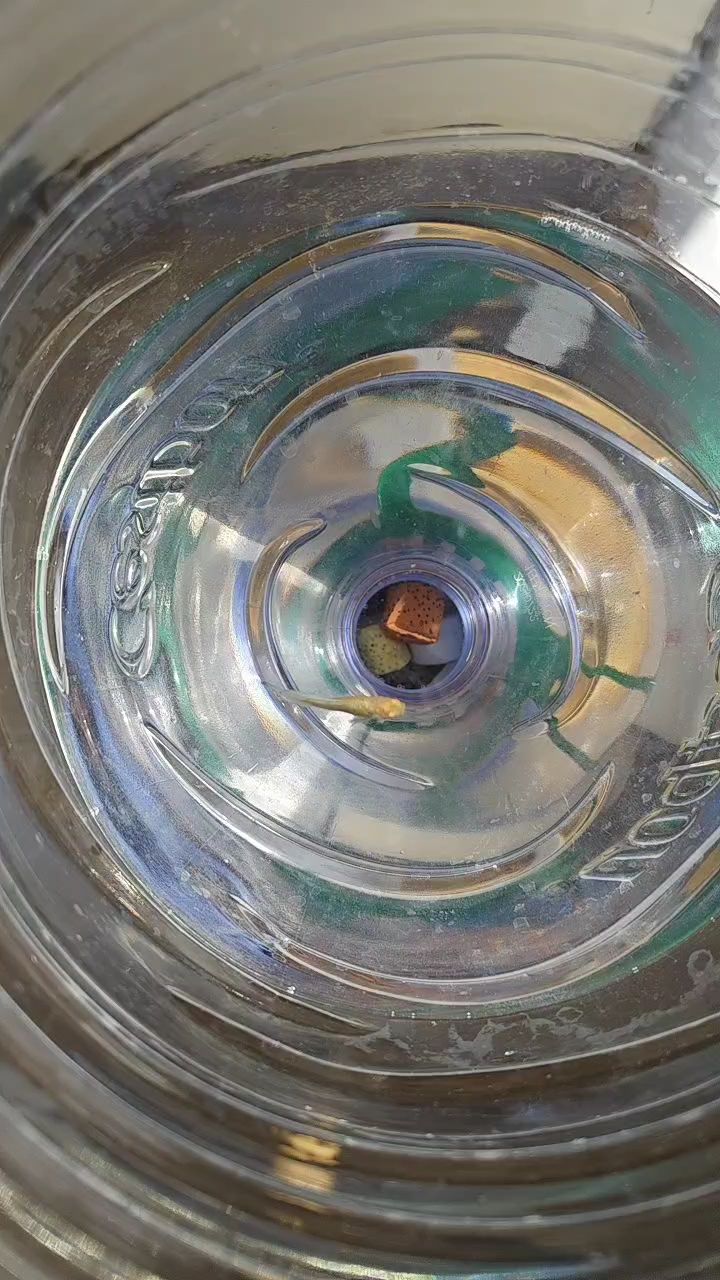 問一下，這種情況是不是沒救了？