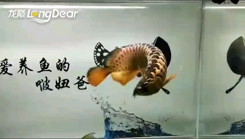 轉712