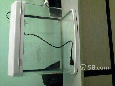 廣州金魚缸定做（在廣州定做一個金魚缸可以通過以下途徑獲取更多信息）