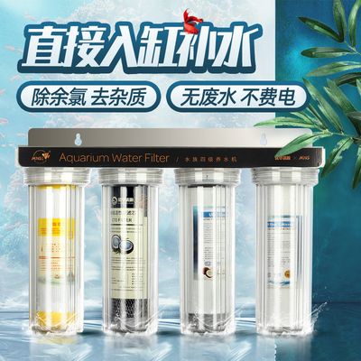 魚龍混雜辨真偽—揭秘魚龍打與十二生肖的玄機 魚龍混雜辨真偽—揭秘魚龍打與十二生肖的玄機 龍魚百科 第3張
