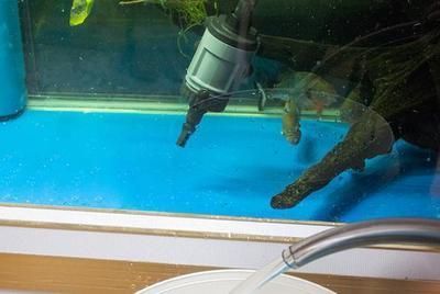 diy魚缸磁力刷：diy魚缸磁力刷的注意事項