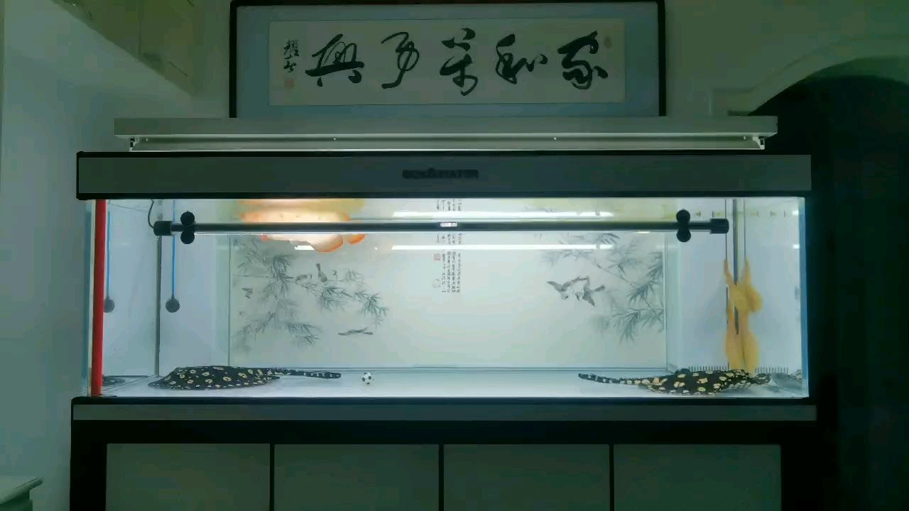 不追光，做自己的燈！