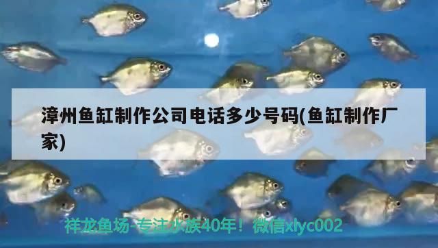 漳州魚缸制作公司電話多少號碼(魚缸制作廠家)