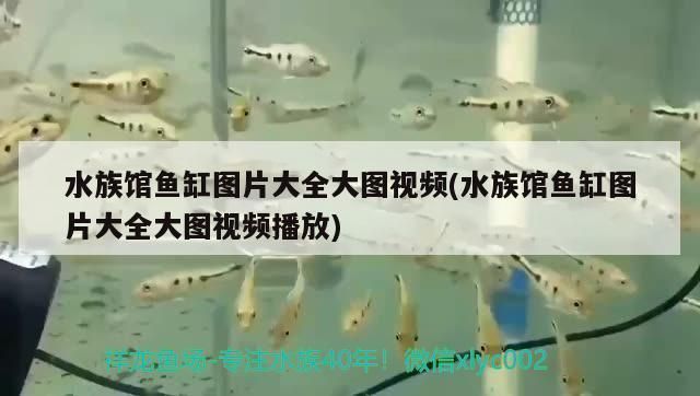 歐柏龍魚缸售后服務電話，歐博龍魚缸用戶評價匯總