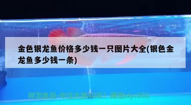歐柏龍魚缸售后服務電話，歐博龍魚缸用戶評價匯總
