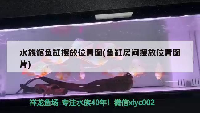 歐柏龍魚缸售后服務電話，歐博龍魚缸用戶評價匯總