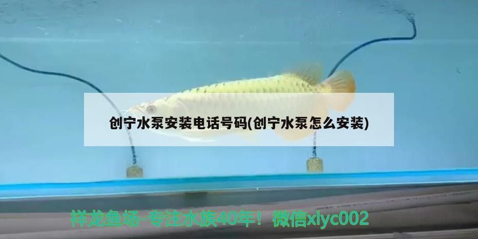 創寧水泵安裝電話號碼(創寧水泵怎么安裝)