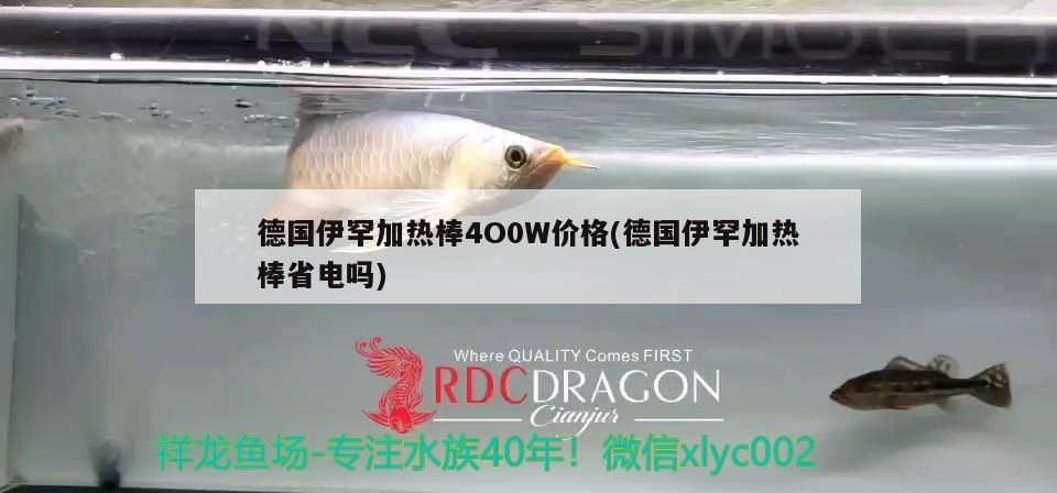 德國伊罕加熱棒4O0W價格(德國伊罕加熱棒省電嗎)