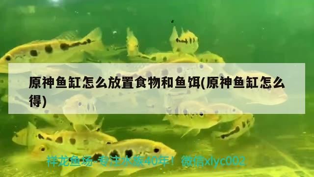 原神魚缸怎么放置食物和魚餌(原神魚缸怎么得)