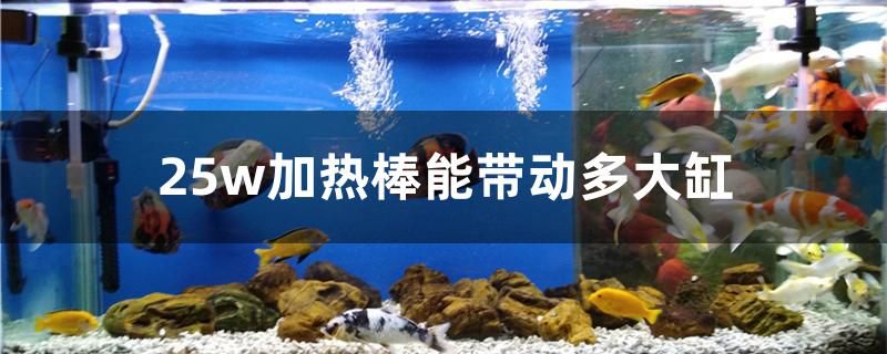 25w加熱棒能帶動多大缸