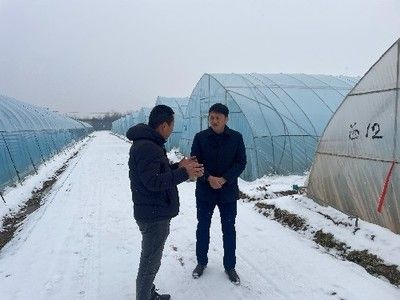 魚缸養龍魚ph值應該是多少合適：龍魚養殖之魚缸PH值的奧秘