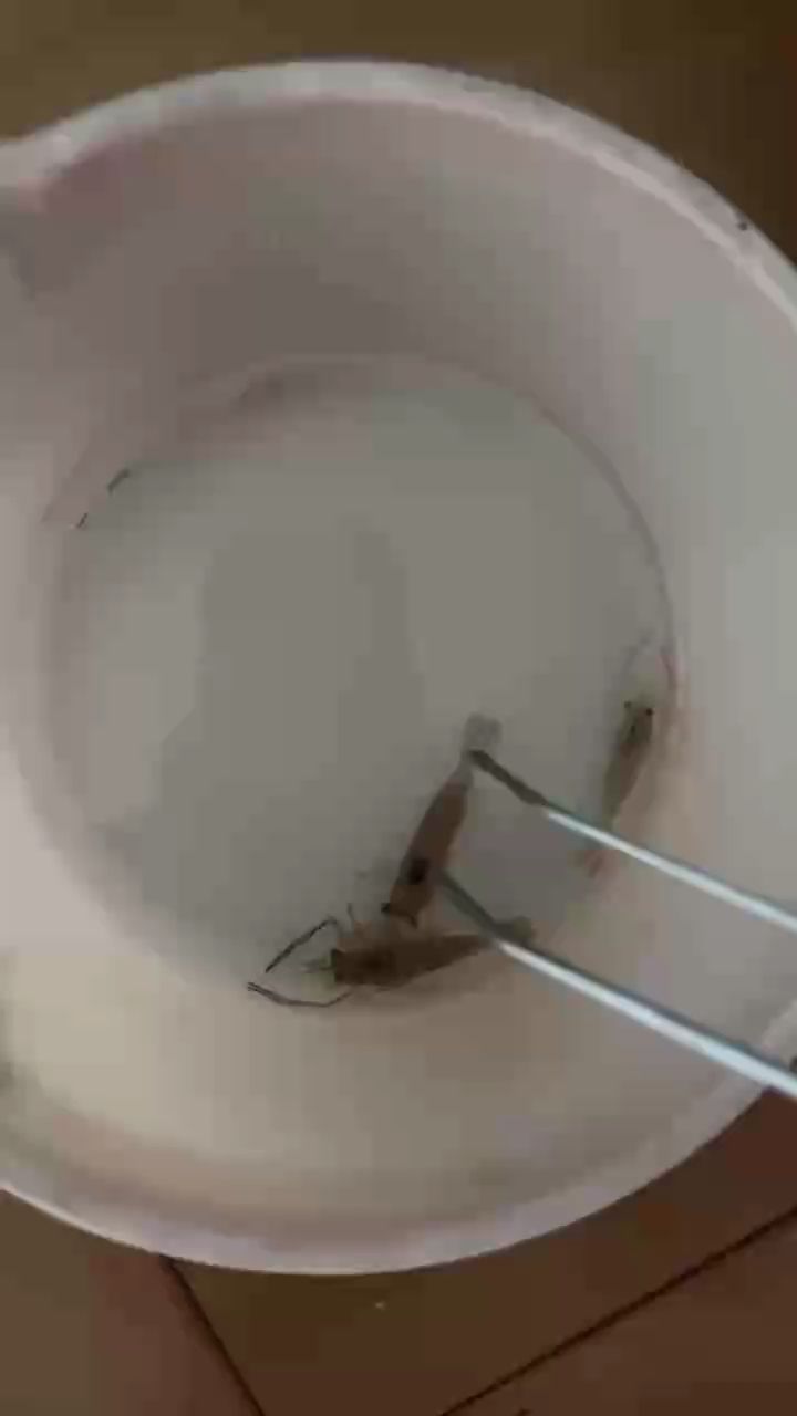 現貨多多