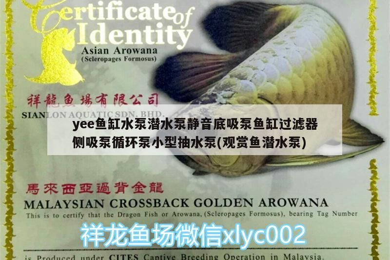 yee魚(yú)缸水泵潛水泵靜音底吸泵魚(yú)缸過(guò)濾器側(cè)吸泵循環(huán)泵小型抽水泵(觀賞魚(yú)潛水泵)