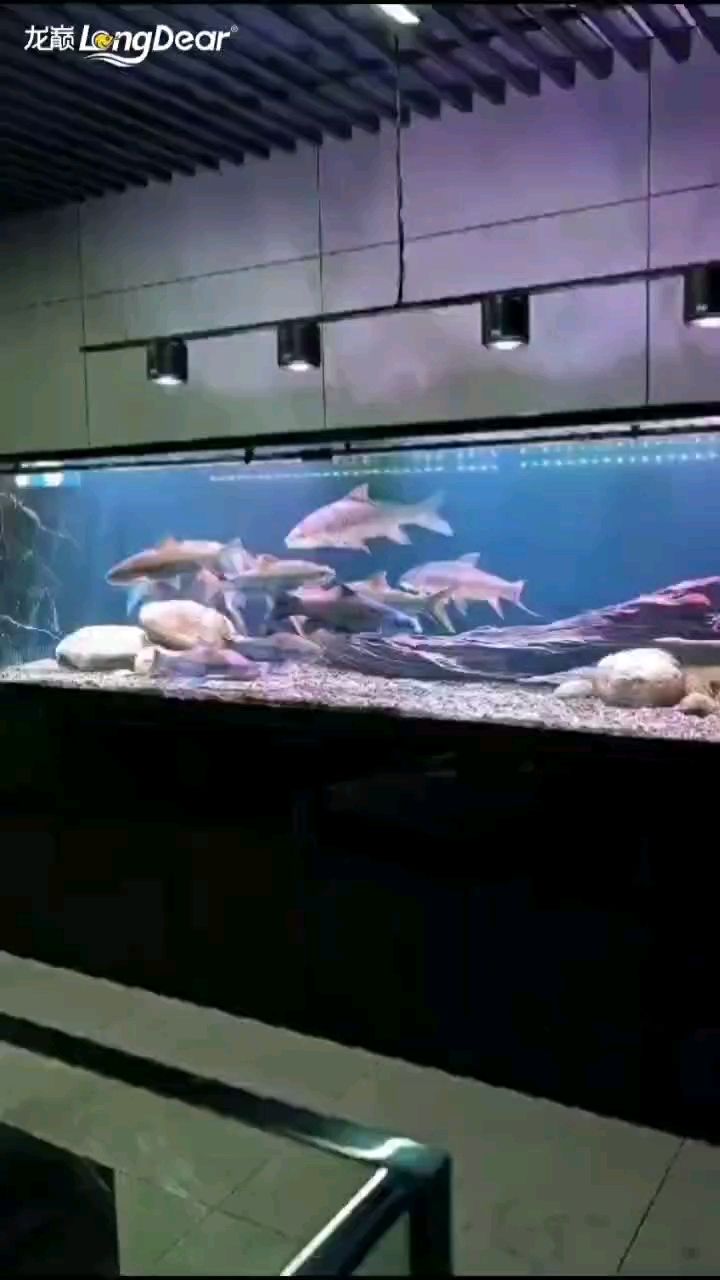 轉發711