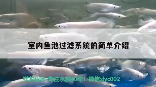 室內(nèi)魚池過濾系統(tǒng)的簡單介紹