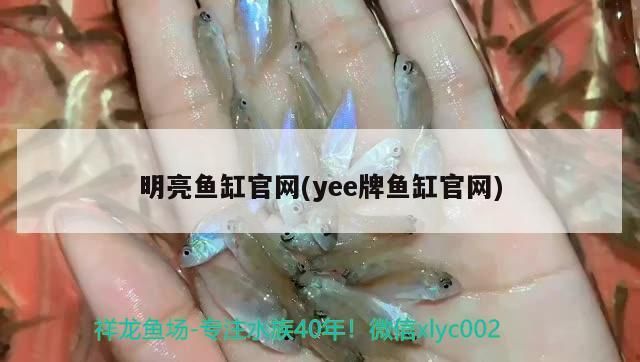 明亮魚缸官網(wǎng)(yee牌魚缸官網(wǎng))