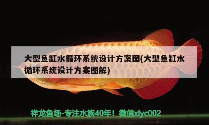 大型魚缸水循環(huán)系統(tǒng)設(shè)計方案圖(大型魚缸水循環(huán)系統(tǒng)設(shè)計方案圖解)