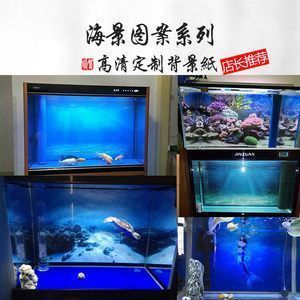 紅龍魚魚缸背景紙畫圖：紅龍魚魚缸背景紙畫圖布置方案，紅龍魚魚缸布置注意事項