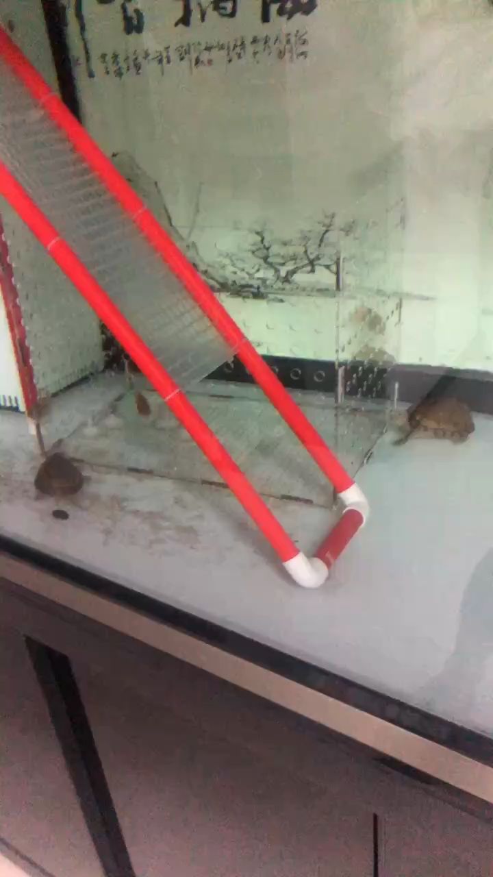 魚缸過濾器選購指南:自制魚缸過濾器魚缸上置過濾器對于養(yǎng)魚愛好者的必備知識 DIY 龍魚論壇 DIY DIY 龍魚論壇