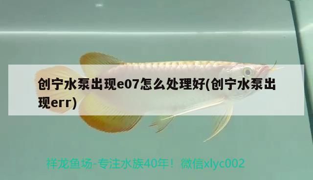 創寧水泵出現e07怎么處理好(創寧水泵出現err)