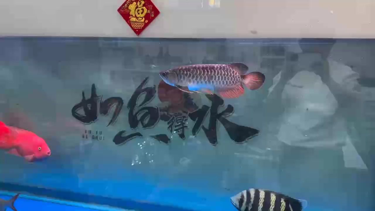 到家100天實錄、