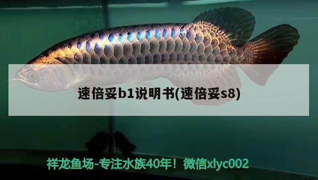 速倍妥b1說明書(速倍妥s8)