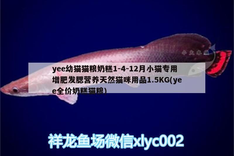 yee幼貓貓糧奶糕1-4-12月小貓專用增肥發腮營養天然貓咪用品1.5KG(yee全價奶糕貓糧)