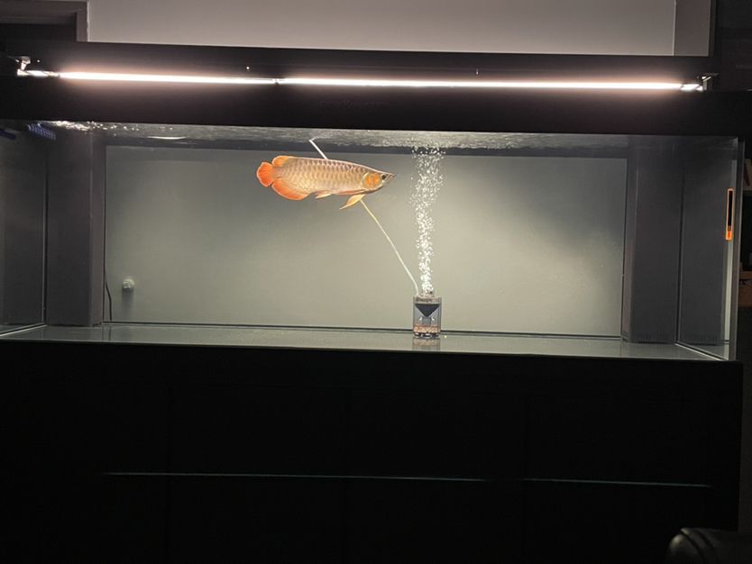 蘇州市高鐵新城晨揚花卉店