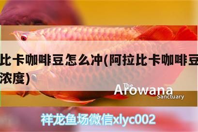 阿拉比卡咖啡豆怎么沖(阿拉比卡咖啡豆沖泡出的濃度)