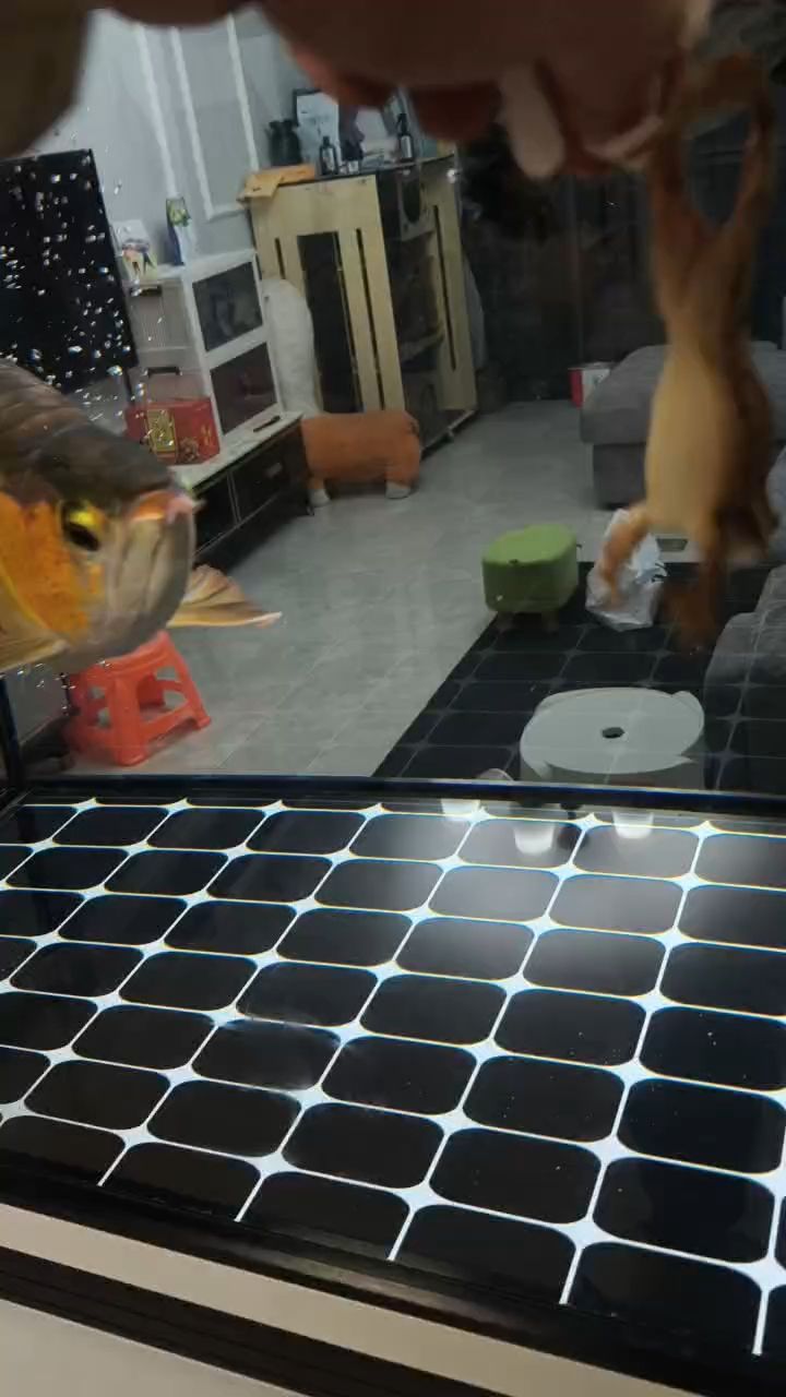 來啦！