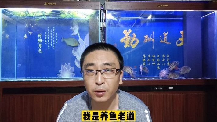 魚開頭成語大全100個，深度解析與實用指南