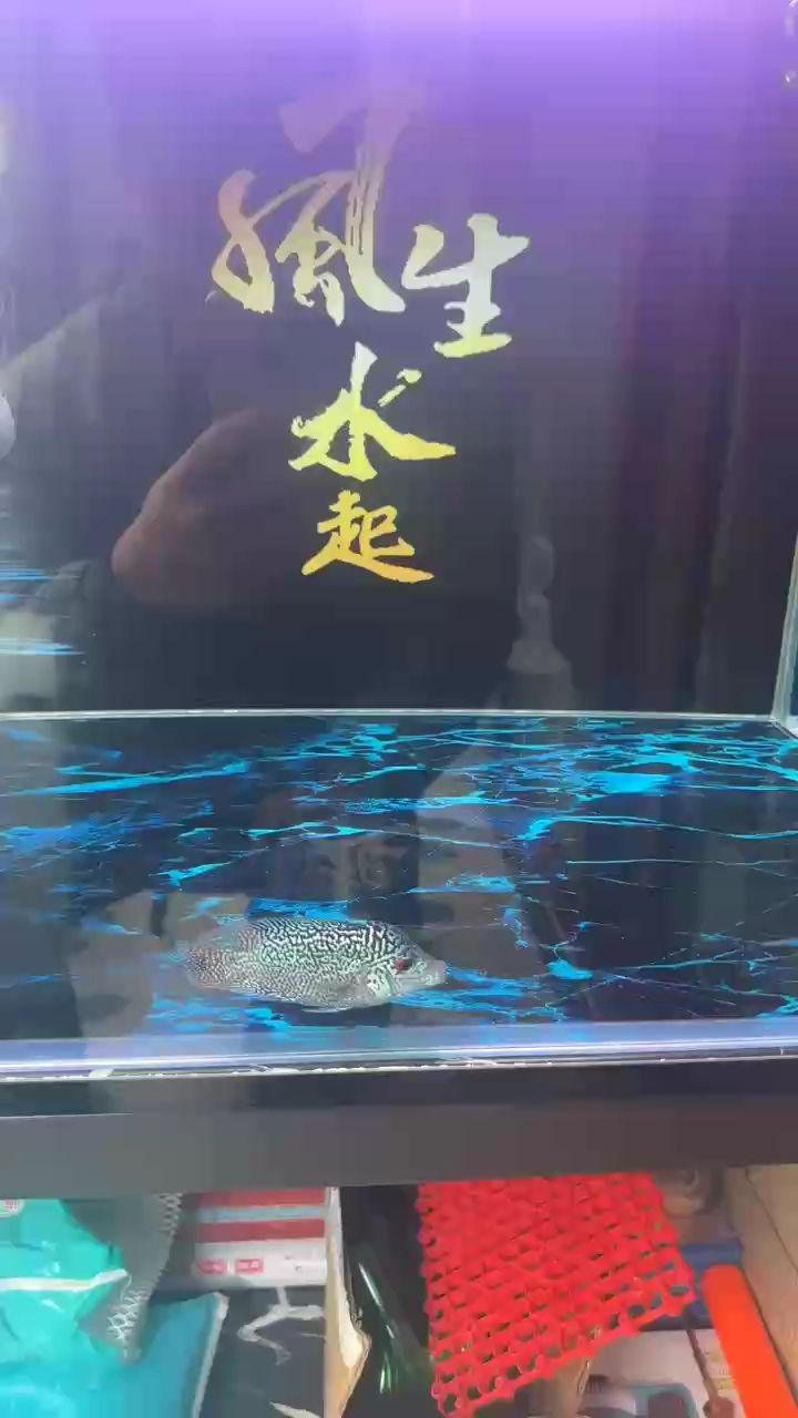 會不會成功？