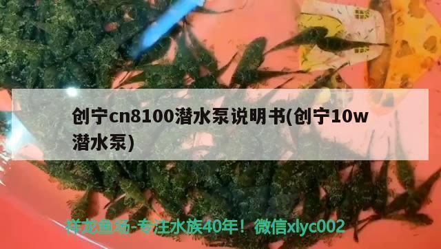 創(chuàng)寧cn8100潛水泵說(shuō)明書(shū)(創(chuàng)寧10w潛水泵)