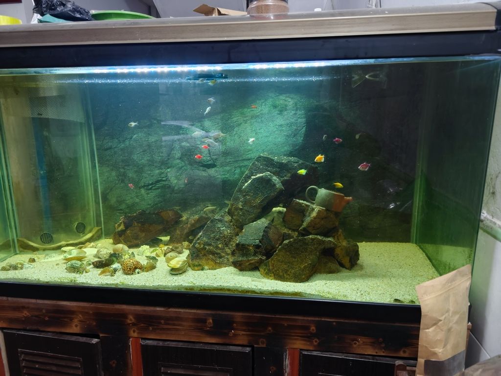 我這個怎樣 要怎樣改好看