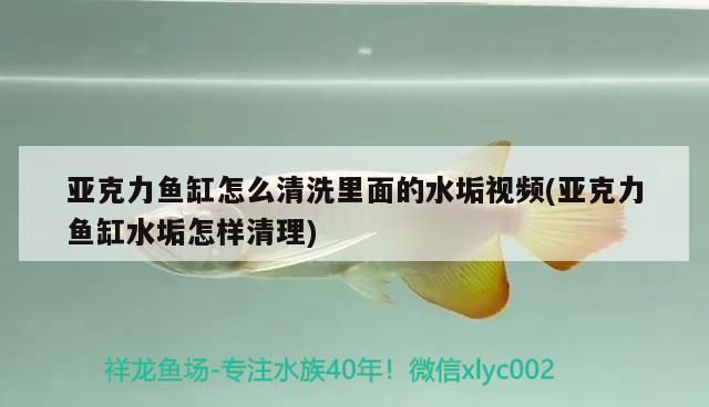 亞克力魚缸怎么清洗里面的水垢視頻(亞克力魚缸水垢怎樣清理)