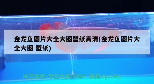 天津晚上有賣觀賞魚的地方嗎最近天氣預報 天津市賣觀賞魚的地方