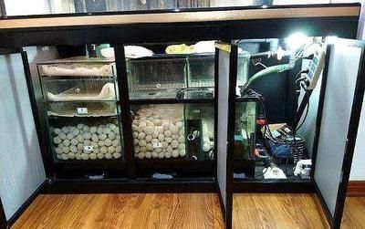 diy整理箱魚缸過濾怎么用：diy整理箱水族箱自制過濾