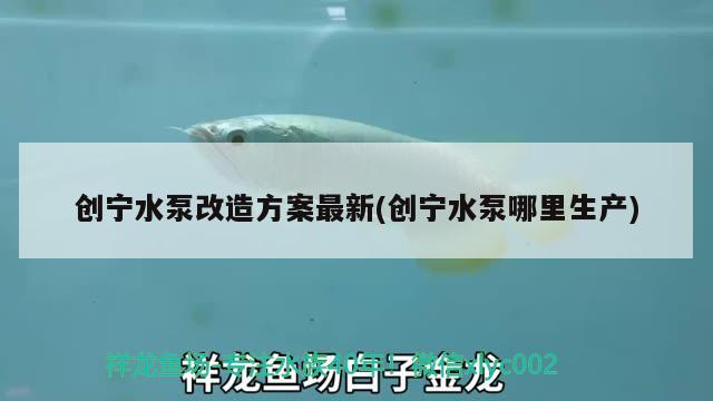 創寧水泵改造方案最新(創寧水泵哪里生產) 創寧水泵改造方案最新(創寧水泵哪里生產) 創寧水族