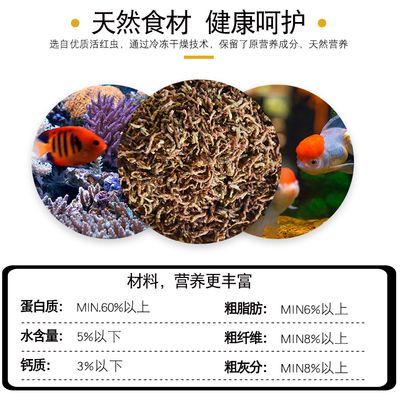 四紋虎魚飼料營養成分分析，四紋虎魚飼料保存技巧 四紋虎魚飼料營養成分分析，四紋虎魚飼料保存技巧 虎魚百科 第3張