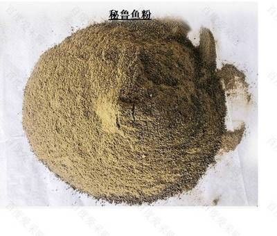 魚化龍紫砂壺為何如此昂貴？揭秘其背后的價(jià)值密碼