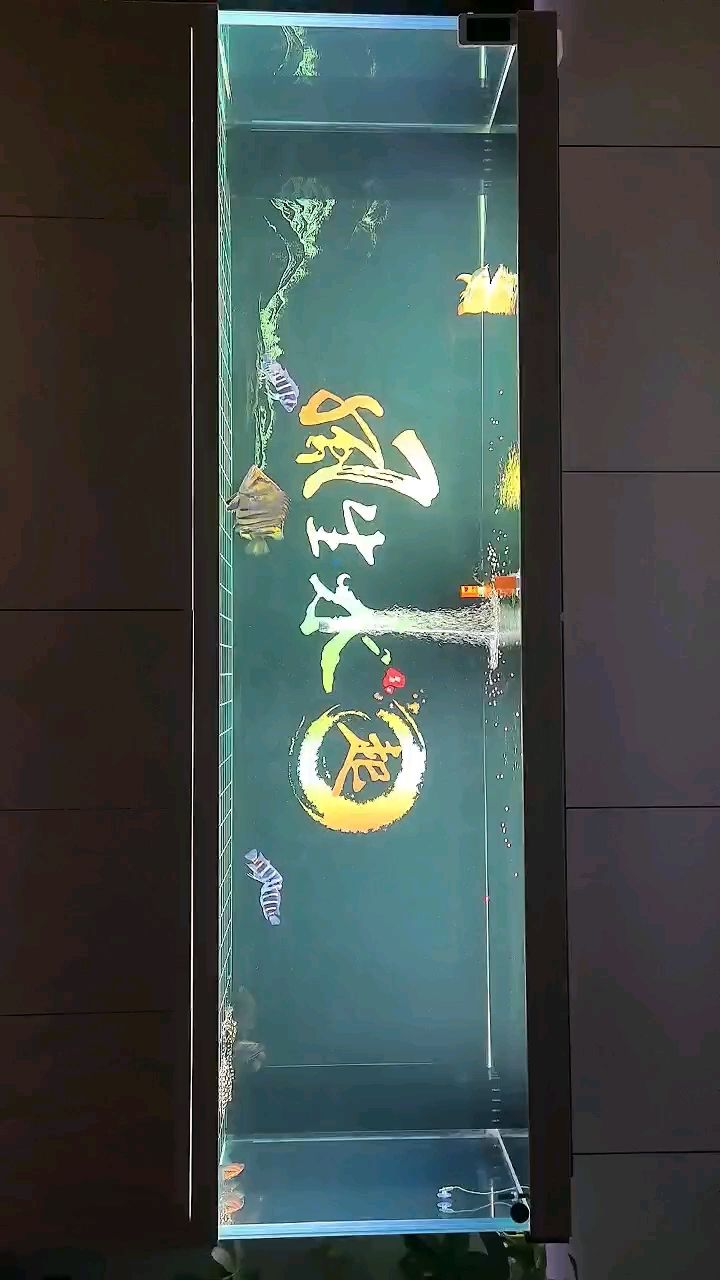 新到兩個大成員
