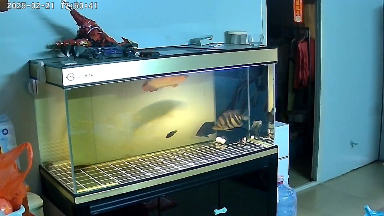 好久沒來打卡了
