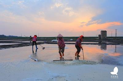魚化龍適合什么人佩戴？揭秘這一吉祥飾物的寓意與佩戴人群