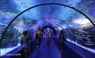 國內水族館排行（2018年國內水族館排行榜）