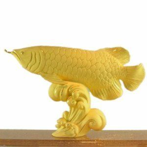 金龍魚用馬印：金龍魚使用馬印燈可以輔助發色過程