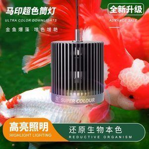 馬印筒燈和尼特利筒燈的區別在哪：馬印筒燈和尼特利筒燈的區別