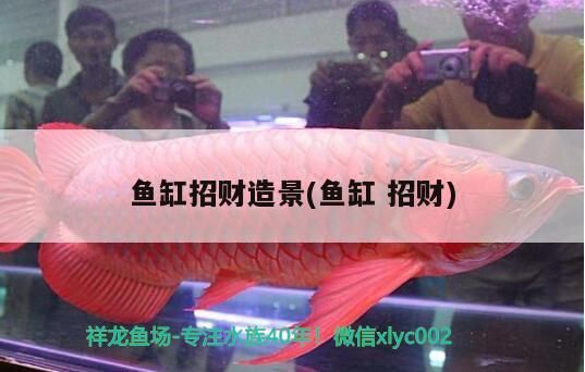 魚缸用增氧泵價格是多少:魚缸增氧機-xtrac增氧機-xtrac增氧機 魚缸招財造景(魚缸招財) 錦鯉魚百科 魚缸招財造景(魚缸招財) 魚缸招財造景(魚缸招財) 錦鯉魚百科