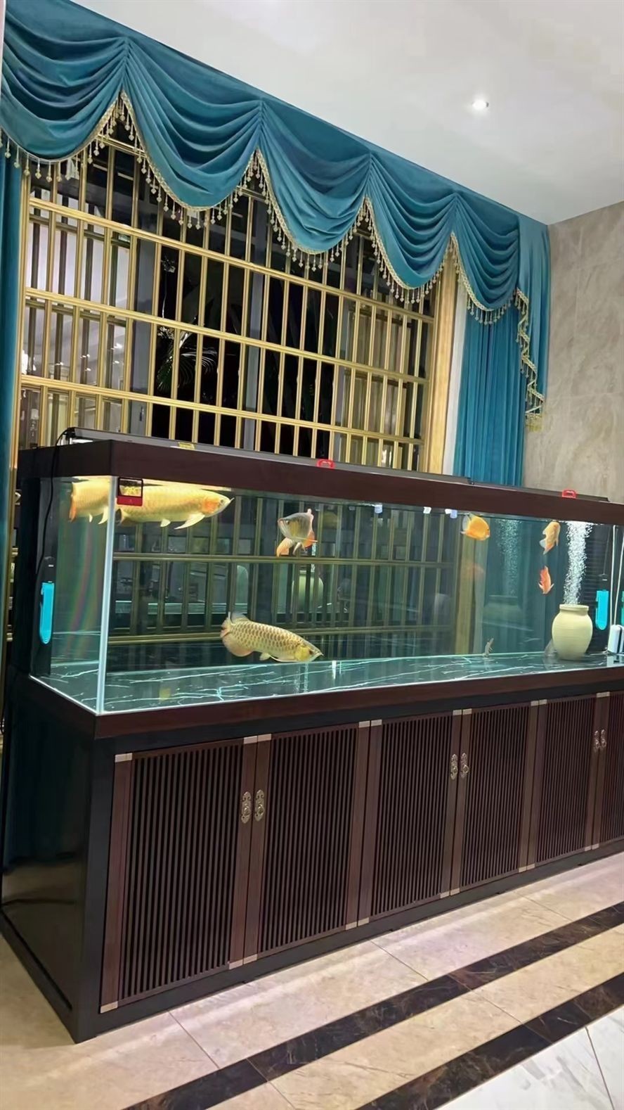 養魚喝茶是不是不分家 養魚喝茶是不是不分家 龍魚論壇 第1張